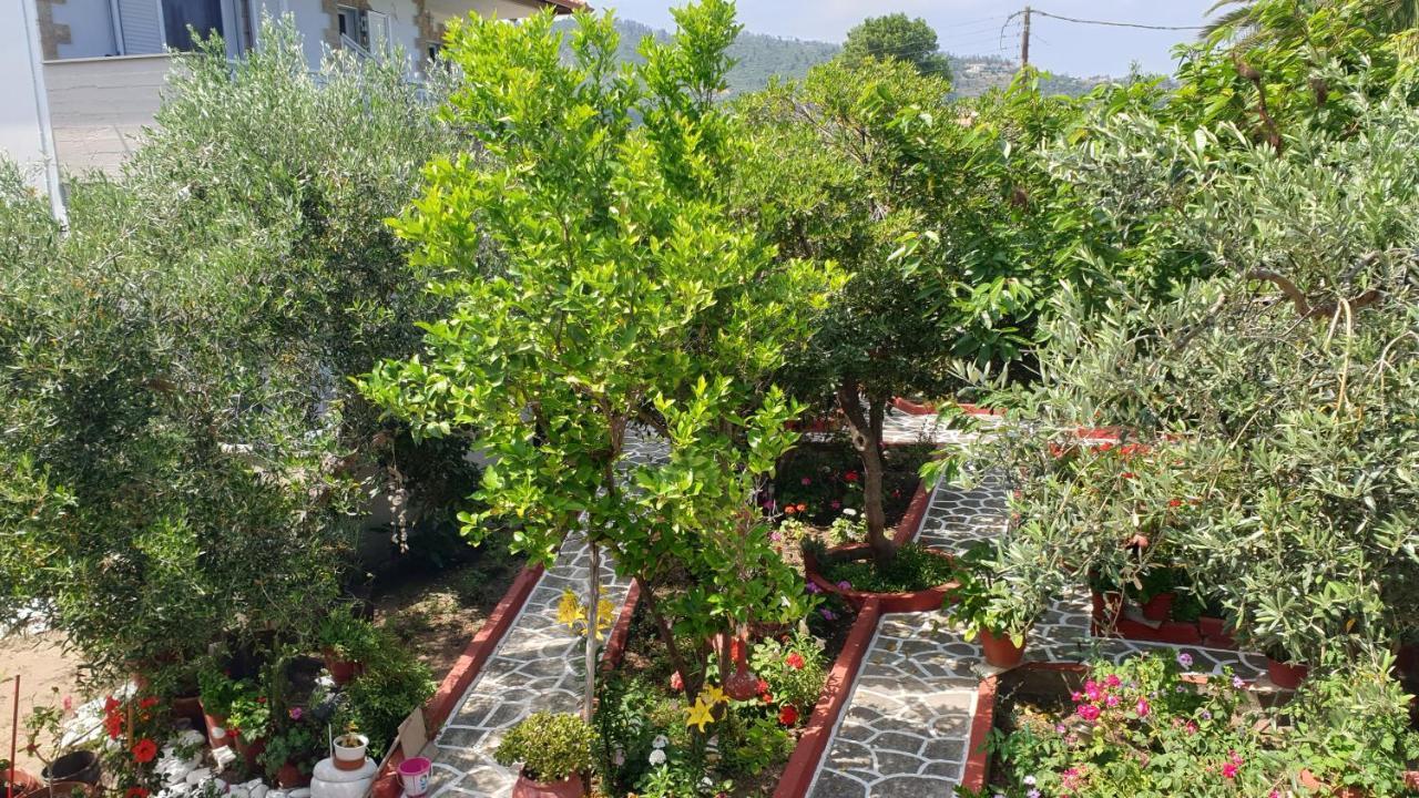 Villa Irida Sarti Esterno foto