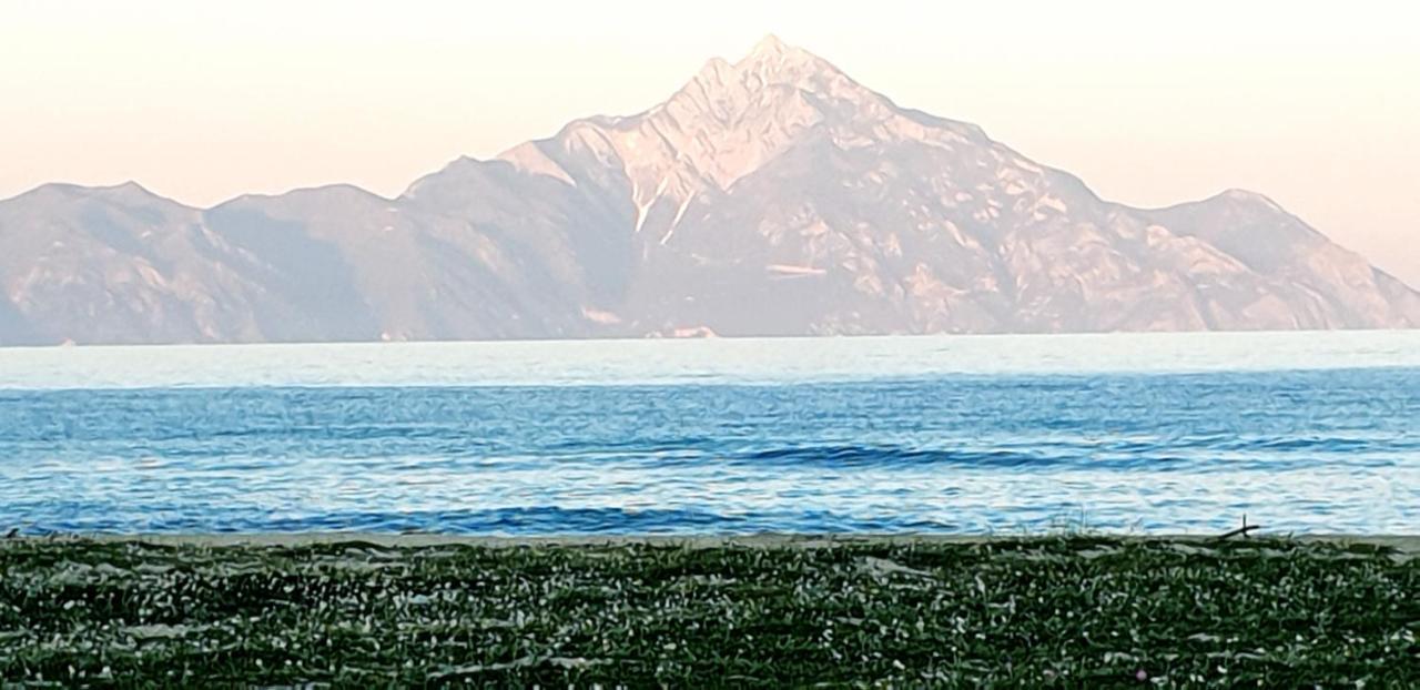 Villa Irida Sarti Esterno foto